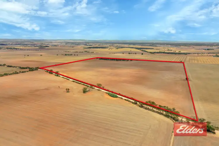 Lot 443 Richter Road, Reeves Plains SA 5502