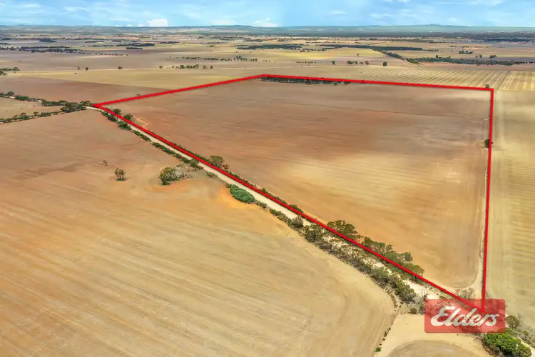 Second view of Homely rural property listing, Lot 443 Richter Road, Reeves Plains SA 5502
