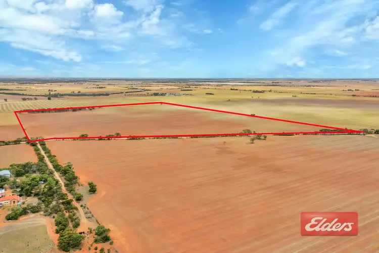 Third view of Homely rural property listing, Lot 443 Richter Road, Reeves Plains SA 5502