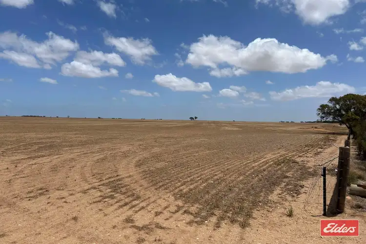 Fourth view of Homely rural property listing, Lot 443 Richter Road, Reeves Plains SA 5502