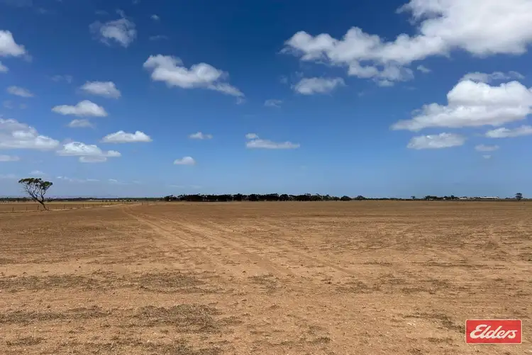 Sixth view of Homely rural property listing, Lot 443 Richter Road, Reeves Plains SA 5502