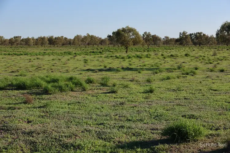 Second view of Homely rural property listing, 1632 West Culgoa Road, Bourke NSW 2840