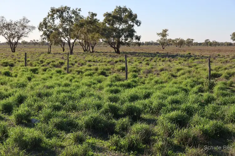Third view of Homely rural property listing, 1632 West Culgoa Road, Bourke NSW 2840