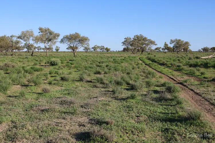 Fourth view of Homely rural property listing, 1632 West Culgoa Road, Bourke NSW 2840