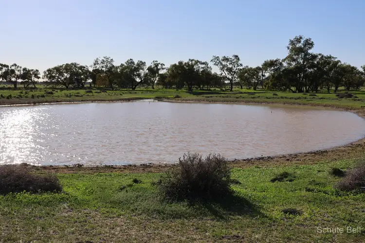 Fifth view of Homely rural property listing, 1632 West Culgoa Road, Bourke NSW 2840