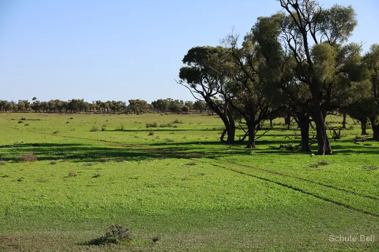 Sixth view of Homely rural property listing, 1632 West Culgoa Road, Bourke NSW 2840