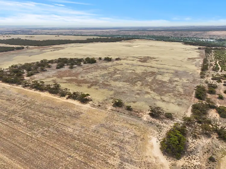 Fifth view of Homely rural property listing, Lot 50 East Front Road, Younghusband SA 5238