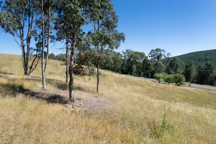 Sixth view of Homely rural property listing, Lot 1 Murray Valley Highway, Koetong VIC 3704