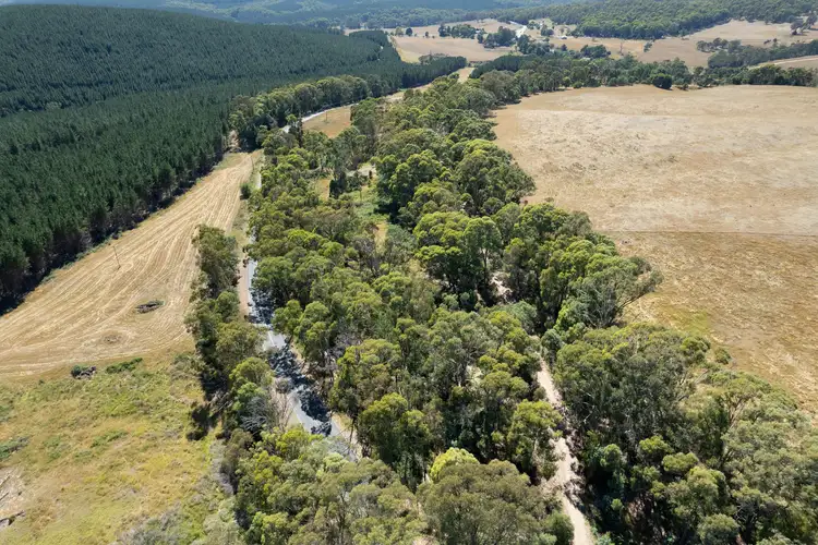 Seventh view of Homely rural property listing, Lot 1 Murray Valley Highway, Koetong VIC 3704