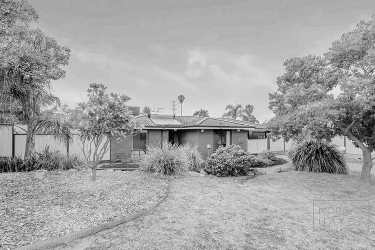13 Houtmans Street, Shelley WA 6148