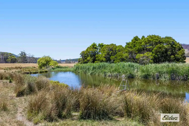 Third view of Homely rural property listing, 1002 Raglan-Elmhurst Road, Raglan VIC 3373