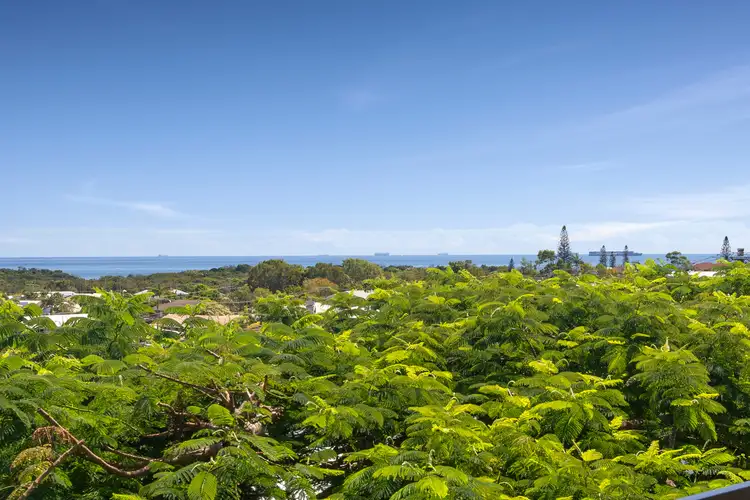 Third view of Homely house listing, 36 Crusader Street, Battery Hill QLD 4551