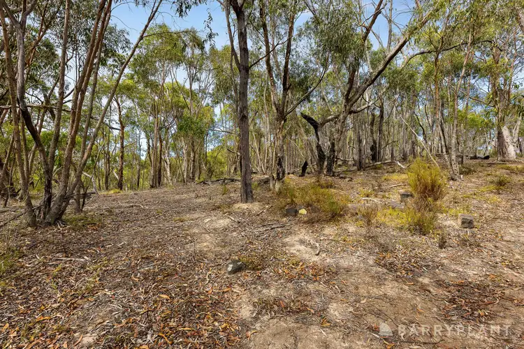 Fifth view of Homely land listing, 175 Old Kinglake Road, Steels Creek VIC 3775