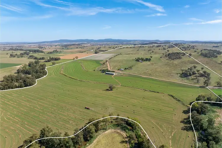Second view of Homely rural property listing, 1052 Fish Fossil Drive, Canowindra NSW 2804