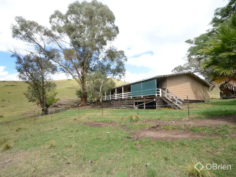 Main view of Homely rural property listing, 1479 Gelantipy Road, Murrindal VIC 3885