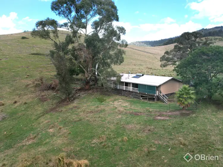 Third view of Homely rural property listing, 1479 Gelantipy Road, Murrindal VIC 3885
