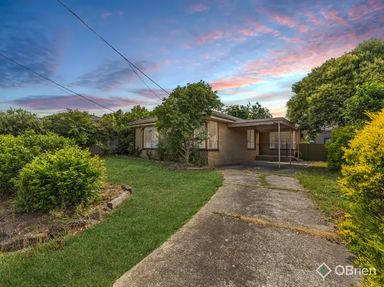 Main view of Homely house listing, 97 Albany Drive, Mulgrave VIC 3170