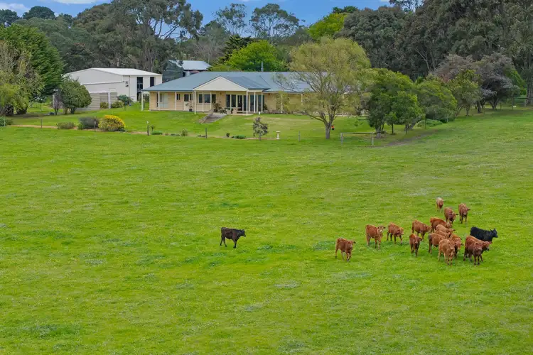 Fifth view of Homely rural property listing, 3432 Range Road, Waitpinga SA 5211