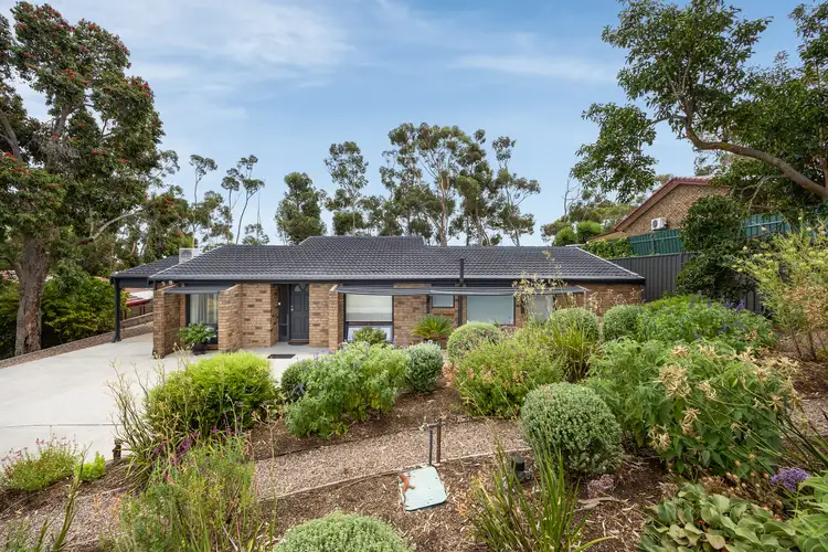41 The Boulevard, Bellevue Heights SA 5050