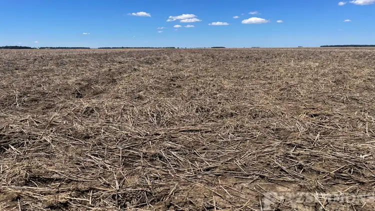 Sixth view of Homely rural property listing, 951 Inverai Road, Jandowae QLD 4410