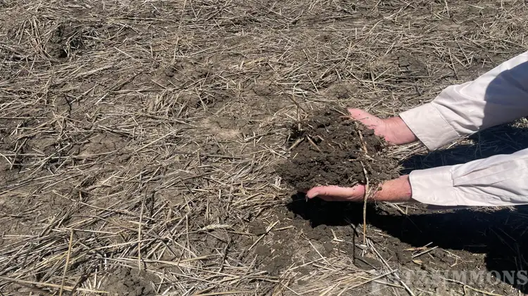 Seventh view of Homely rural property listing, 951 Inverai Road, Jandowae QLD 4410