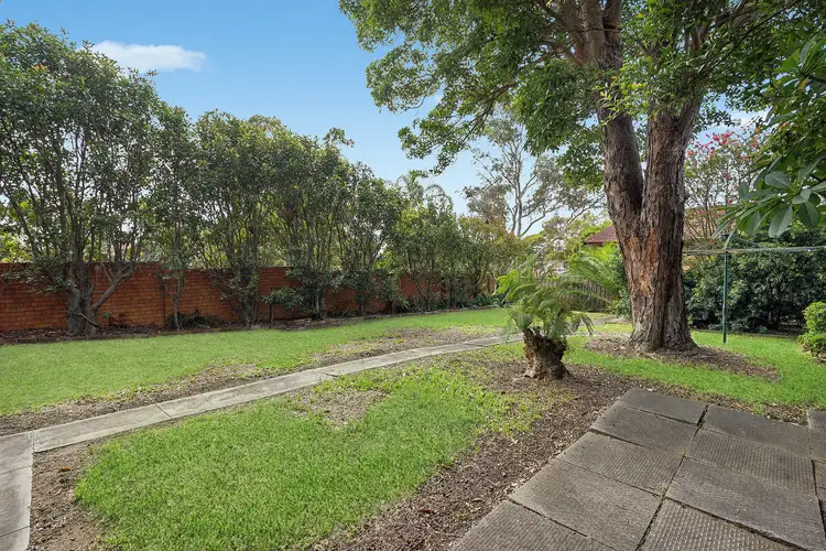 Fifth view of Homely house listing, 43 Wallace Street, Bexley NSW 2207