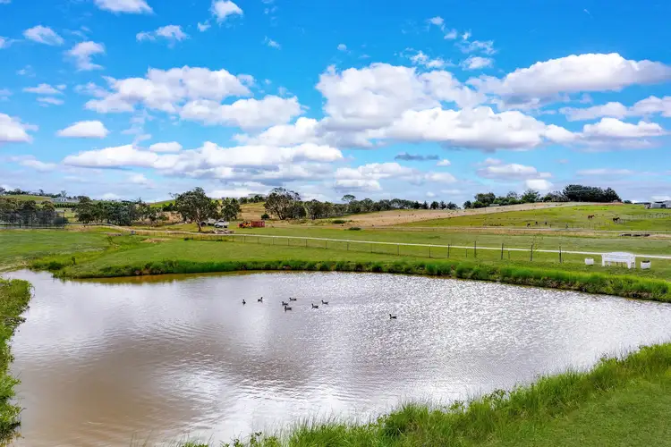 Fifth view of Homely rural property listing, 197 Cullerin Road, Breadalbane NSW 2581