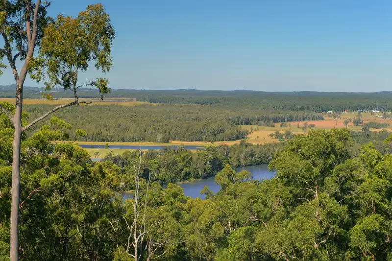 Main view of Homely house listing, 156 Rollands Plains Road, Telegraph Point NSW 2441