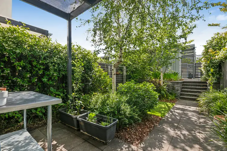 Fifth view of Homely terrace listing, 19 Quain Street, Crace ACT 2911