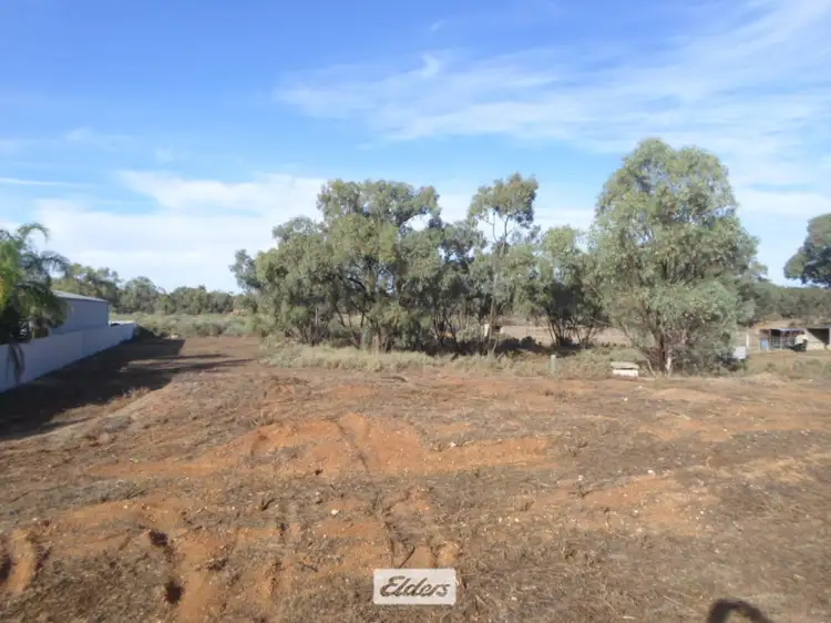 Second view of Homely land listing, 42 Nixon Street, Euston NSW 2737