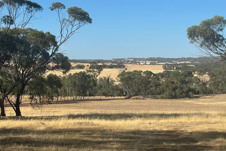 Seventh view of Homely rural property listing, 195 Mandiakon Road, Dale WA 6304
