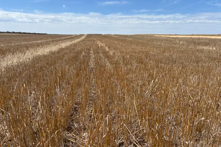 Seventh view of Homely rural property listing, 9723 Tod Highway, Lock SA 5633