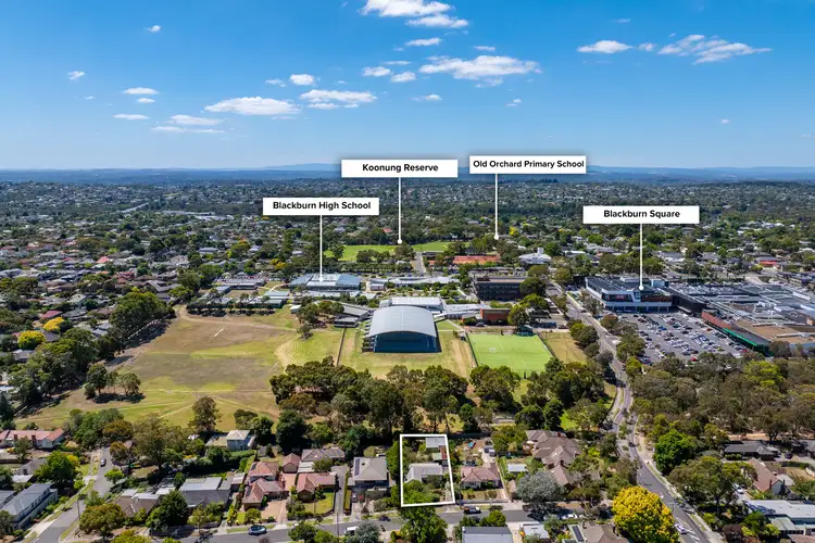 Sixth view of Homely house listing, 59 Stanley Grove, Blackburn VIC 3130