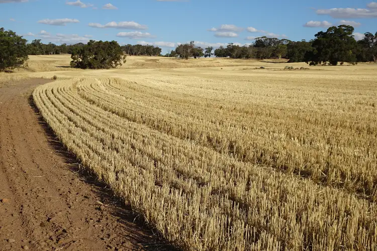 Main view of Homely rural property listing, 1811 Williams Kondinin Road, Minigin WA 6312