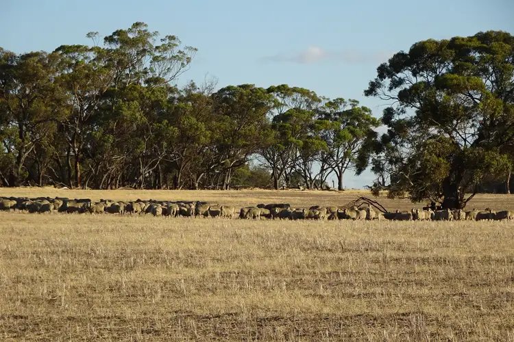 Second view of Homely rural property listing, 1811 Williams Kondinin Road, Minigin WA 6312