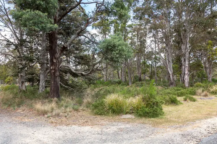 Second view of Homely land listing, 35 Schell Street, Rossarden TAS 7213