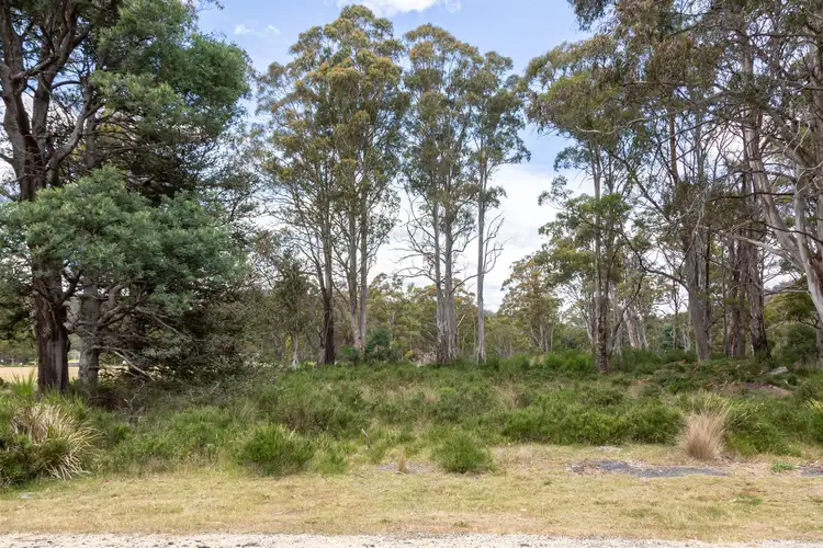 Third view of Homely land listing, 35 Schell Street, Rossarden TAS 7213