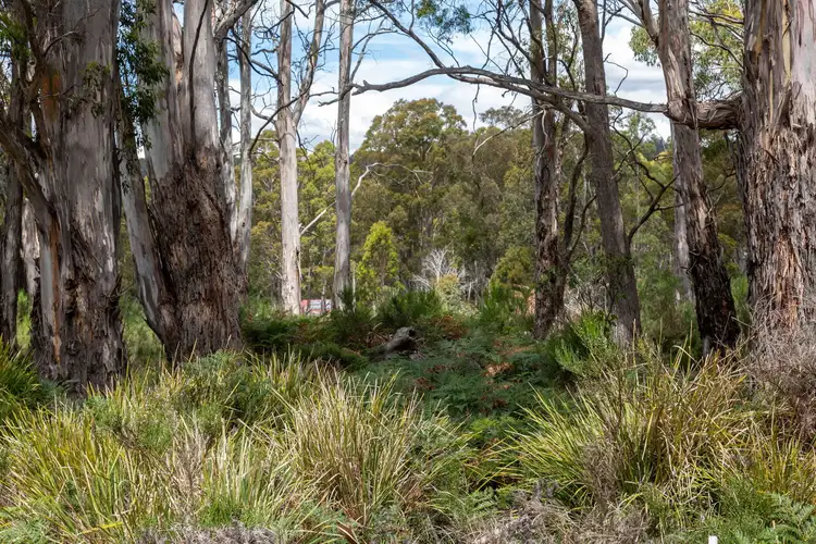 Fifth view of Homely land listing, 35 Schell Street, Rossarden TAS 7213