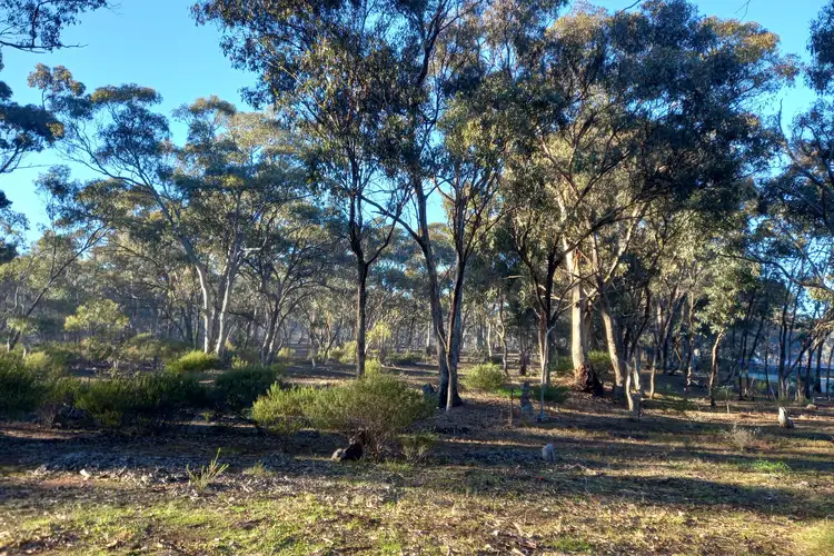 Second view of Homely rural property listing, LOT 4D Sec 5 Ophir Road, Wedderburn VIC 3518