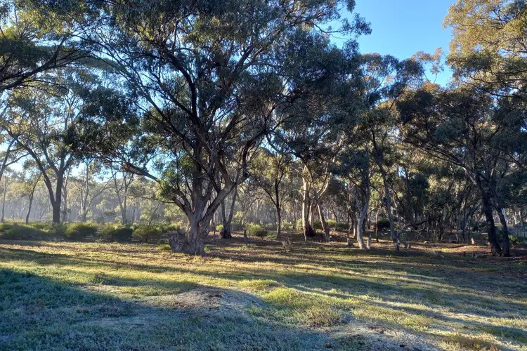 Third view of Homely rural property listing, LOT 4D Sec 5 Ophir Road, Wedderburn VIC 3518