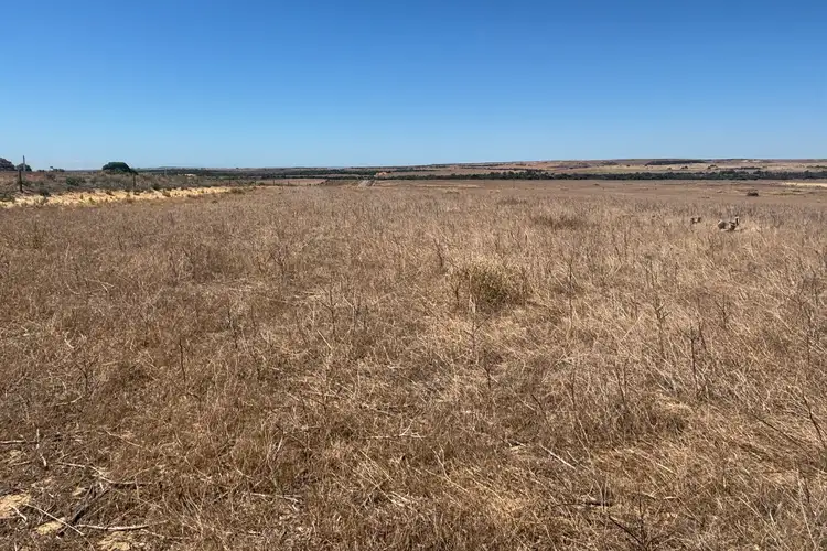 Sixth view of Homely rural property listing, Lot 17 White Cliffs Road, Sandy Gully WA 6535