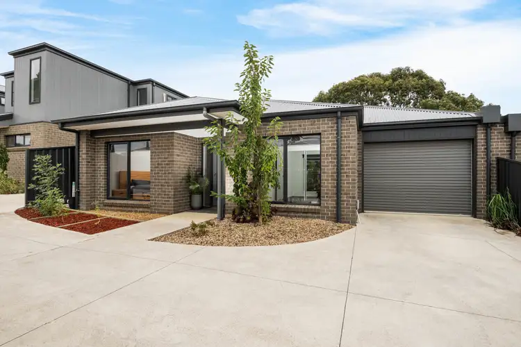 3/15 Matthews Street