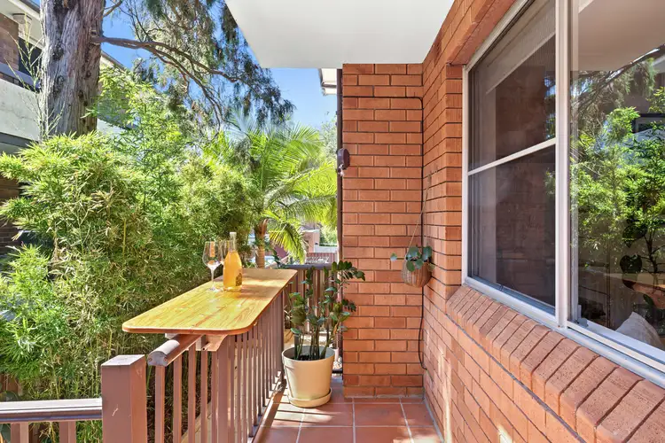 Third view of Homely apartment listing, 3/23 Palace Street, Ashfield NSW 2131