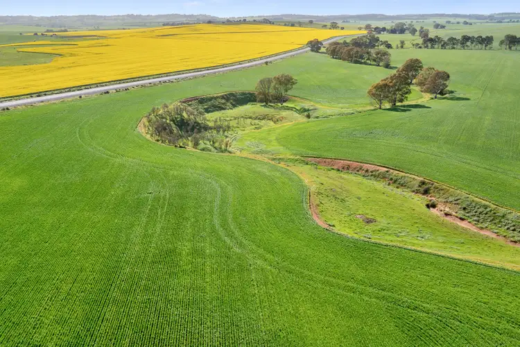 Second view of Homely rural property listing, Section 345 & 346, Brinkworth SA 5464