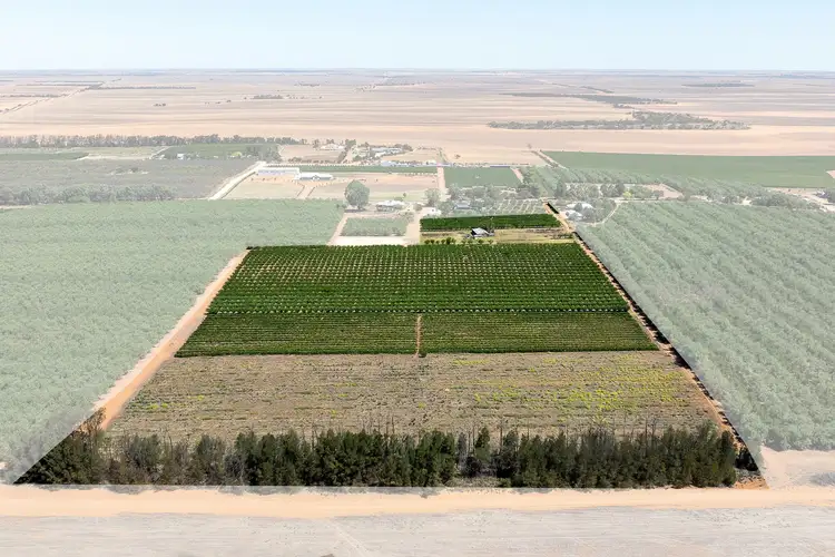 Second view of Homely rural property listing, Lot 54 Newton Road, Loxton SA 5333