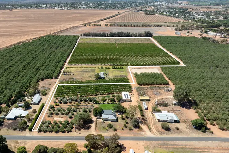 Third view of Homely rural property listing, Lot 54 Newton Road, Loxton SA 5333
