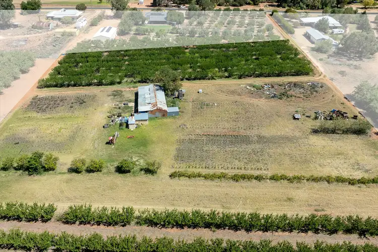 Sixth view of Homely rural property listing, Lot 54 Newton Road, Loxton SA 5333