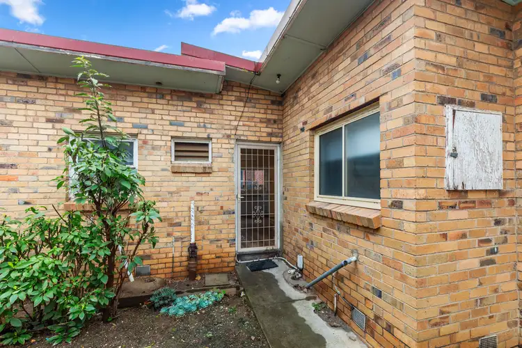 3/100 Synnot Street