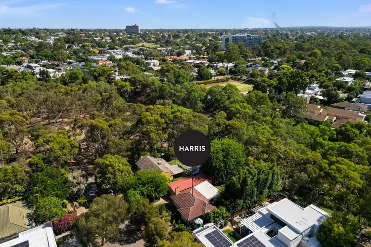 Fifth view of Homely house listing, 21 Player Avenue, St Peters SA 5069