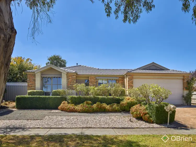 8 Wolff Street, Drouin VIC 3818